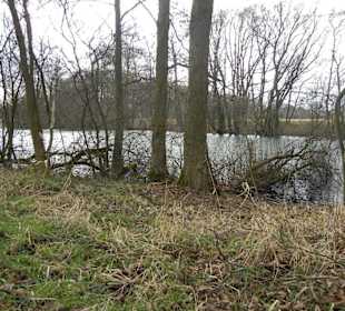 Naturschutzgebiet Boberger Niederung