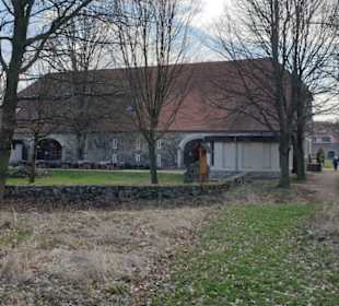 Umgebung am Berzdorfer See.