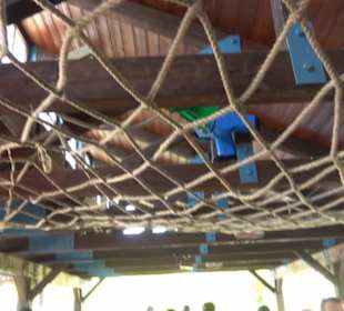 Hafenrundfahrt - Lego City