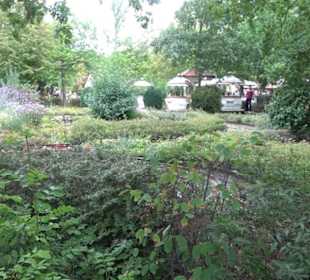 Erlebnispark Tripsdrill