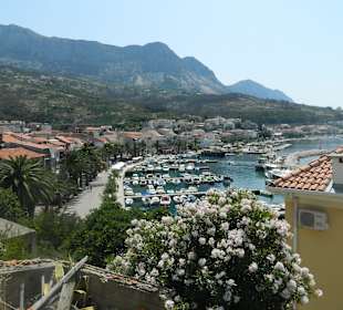 Cesta k pamätníku a výhľad...