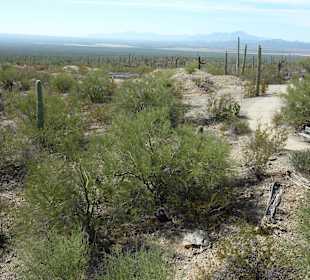 Parkausblick bis nach Mexiko