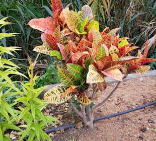 Landschaft von La Gomera