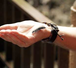 Kleinen Freund entdeckt