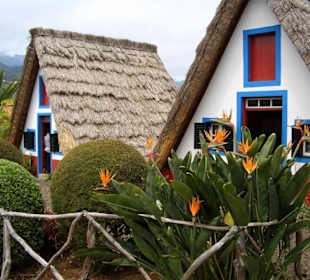 Strohgedeckte Häuser