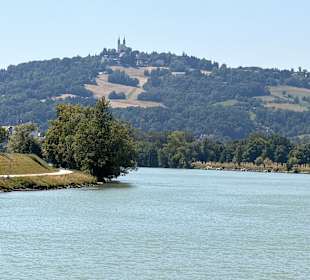 Linz Donauauen
