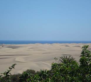 Dünen von Maspalomas