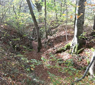 Höllenlöcher Hohenneuffen