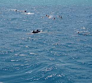 Mit alle Mann hinterher