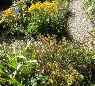Klosterkirche Maria Gnadenzell