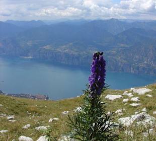 Bezaubernde Bergwelt