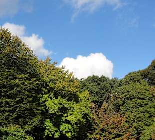 Herbstspaziergang durch Knoops Park