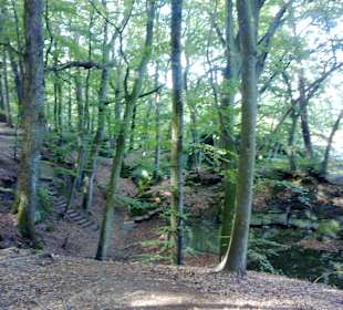 Kleine Luxemburger Schweiz bei Echternach