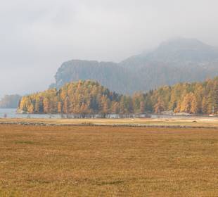 Wandern Sils im Engadin/Segl