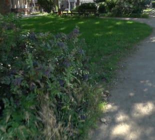 Stadtgarten Heidelberg