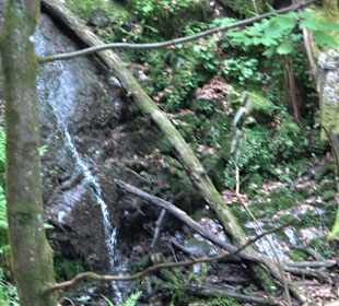 Griesbacher Wasserfälle Bad Griesbach