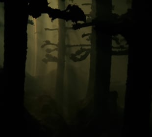 Bäume