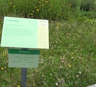 ALB-GOLD Naturgarten