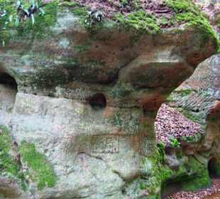 Die Bitterbachschlucht