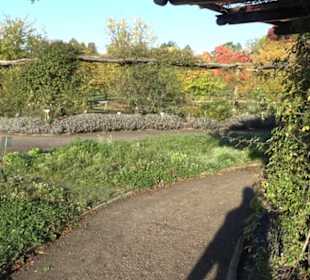 Botanischer Garten