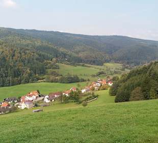 Wanderung in der Nähe mit herrlichem Blick ins Tal.