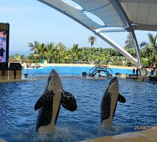 Loro Parque