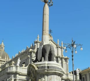 Seltsame Zusammenstellung