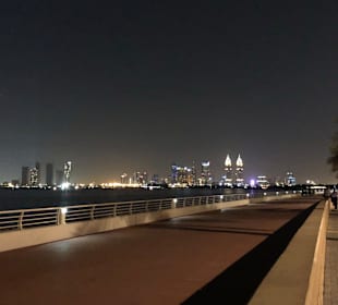 Dubai Skyline