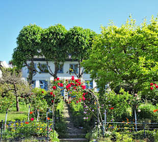 Villen am Strand von Blankenese