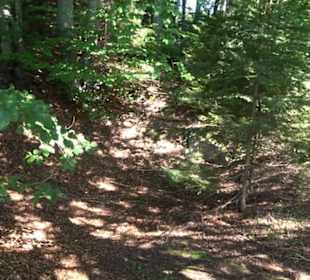 Premiumwanderweg "hochgesprudelt"