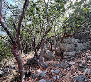 Wandern Göynük bei Kemer