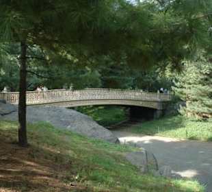 Brücke im Central Park