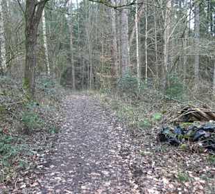 Unterjesinger Wengertwegle