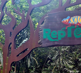 Singapur Zoo