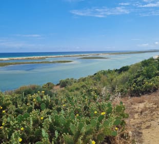 Wandern Cabanas de Tavira