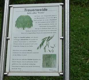 Forellenbächle Glacis Park