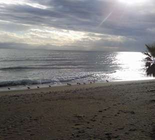 Excursión a marbella, playas y pueblo