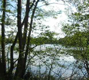 Naturschutzgebiet Boberger Niederung