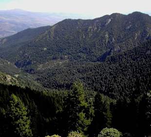  Serra del Cadi - Coll de Jou