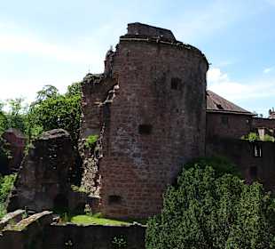 Schloss Heidelberg und Umgebung
