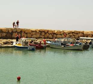Am Hafen von Evrenseki Ende Mai