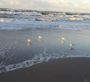 Ostseestrand in der Nähe