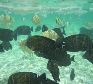 The view in the sea just off beach