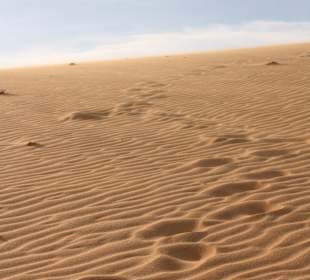 Die Dünen hinter dem Hotel, so toll