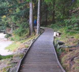 Erlebniswelt Mummelsee