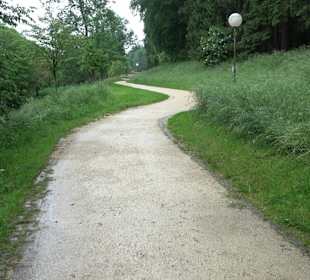 Baumlehrpfad Glacis Park
