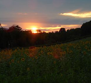 Stadtrundgang Uhldingen-Mühlhofen
