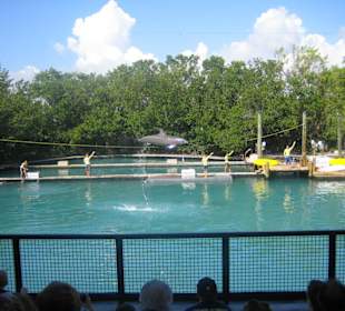 Miami Seaquarium