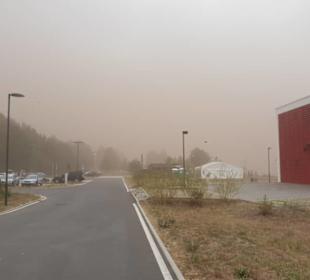 Sandsturm beim Bärwalder See