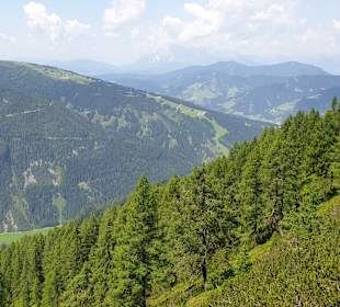 Wandern Flachau